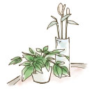 �C���[�W�摜