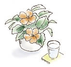 �C���[�W�摜