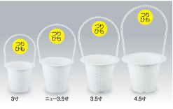 �o�X�P�b�g���V���[�Y