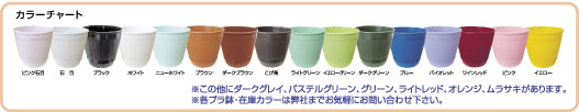 カラーチャート