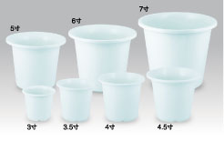 SN���V���[�Y