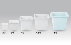 �l�p���V���[�Y