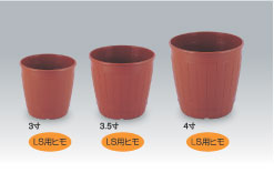 �^�����V���[�Y